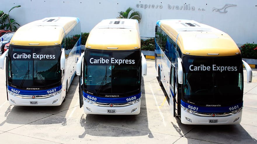 Unitransco invirtió $6.000 millones en buses de Caribe Express