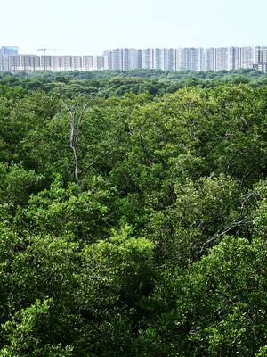 ¿Otro Pomca Mallorquín decepcionante?