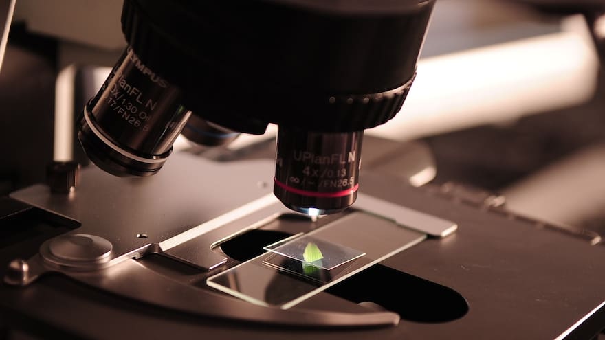 Identifican un subtipo de células inmunes que permite tratar la arteritis