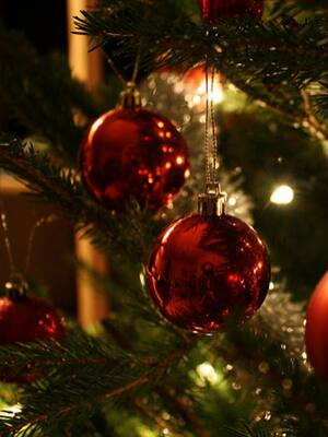 Ofrenda de Nochebuena