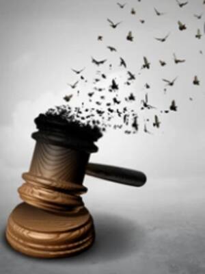 Amnistía: ¿Por qué no?| columna de José Félix Lafaurie