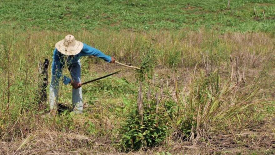 Corte protege a campesinos que quieren regularizar terrenos baldíos