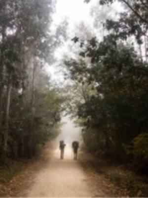 El camino sobre el destino | Columna de Ismael Cala