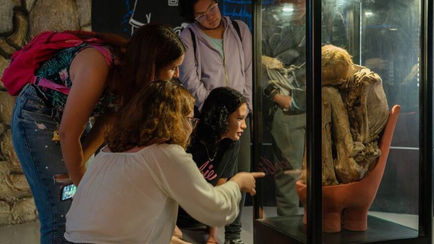 Museo de Antropología de Uniatlántico gana convocatoria Entrecruxes