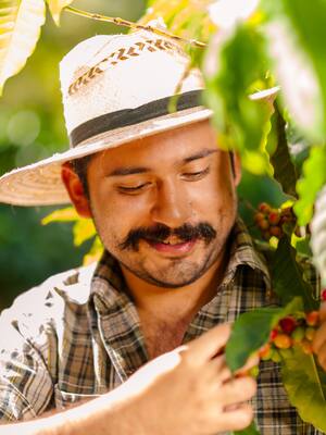 Fedecafe, un ejemplo a seguir