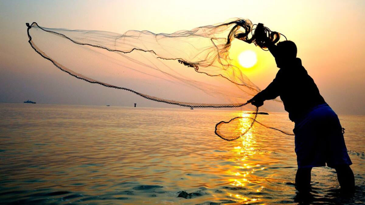 Venezuela y Colombia evalúan establecer un acuerdo en el sector de pesca y acuicultura - ELHERALDO.CO