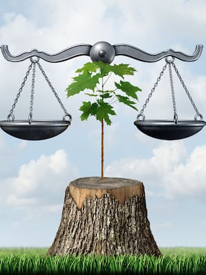 La justicia ambiental | Columna de Rafael L. De fex