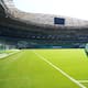 Palmeiras vs. Junior: Alfredo Arias sale con línea de cinco en defensa