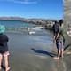 Hallan extraña criatura de 2 metros en una playa de California: “Es como si estuvieras en otro planeta”