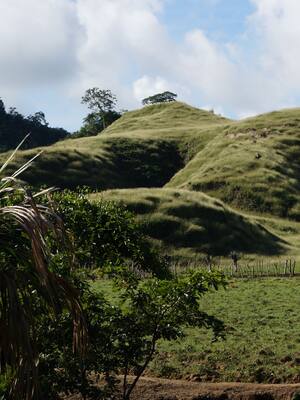 ¡Que vivan los museos vivos!