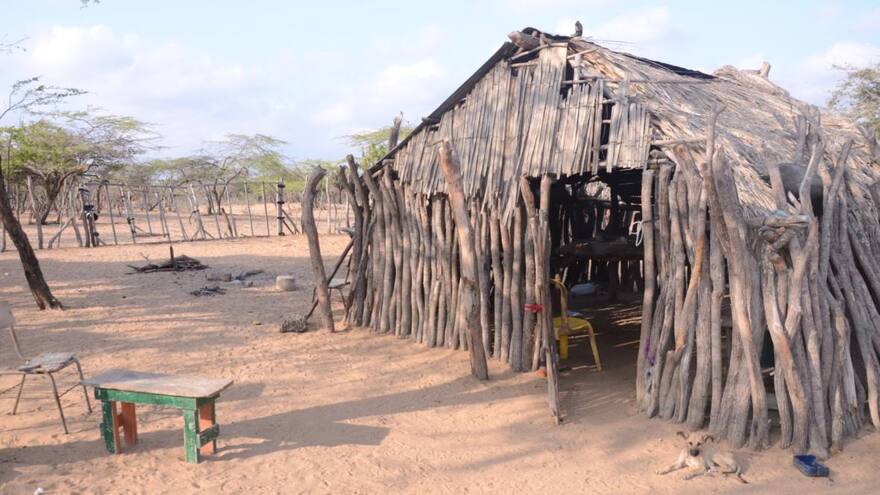 Sequía y altas temperaturas, un riesgo para los animales en La Guajira