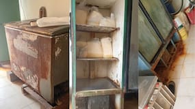 Decomisan y destruyen 52 kilos de queso en local de Soledad por inadecuado tratamiento alimentario