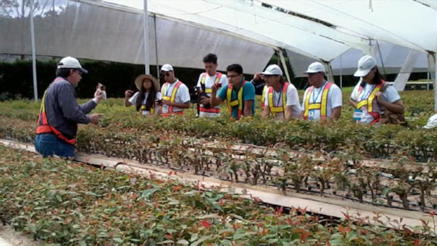 Smurfit Kappa, primer puesto en la categoría bosques del Premio Bibo