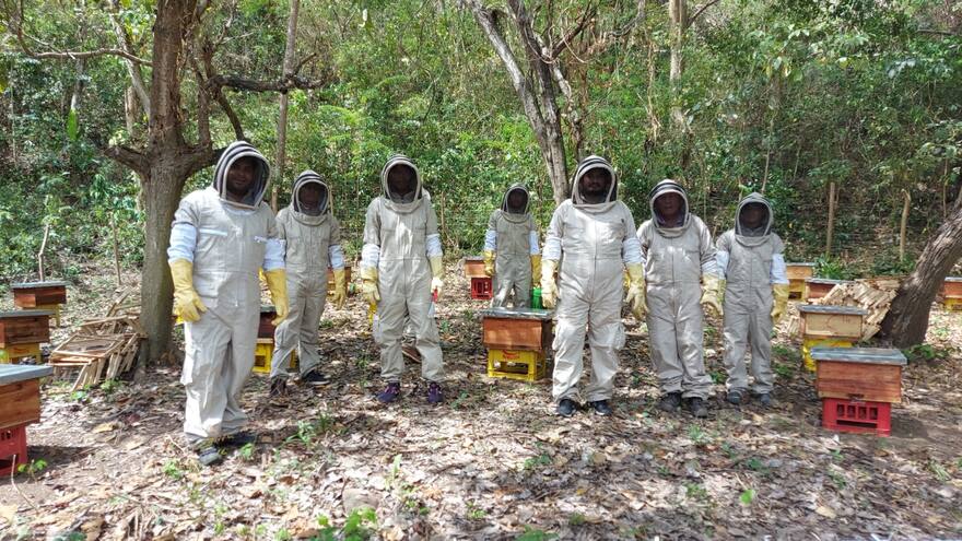 El dulce fruto de la resiliencia en la zona rural de Montería