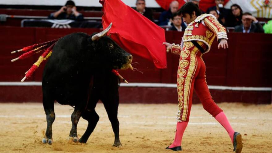 Debate sobre prohibición de la corrida de toros continuará la próxima semana