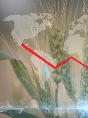 La crisis de los alimentos | Columna de Indalecio Dangond