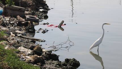 Neumáticos en desuso: un silencioso contaminante de los litorales del Caribe