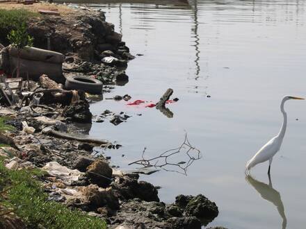 Neumáticos en desuso: un silencioso contaminante de los litorales del Caribe