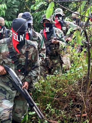 La insolencia del ELN | Columna de Tatiana dangond