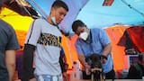 Los refugios de animales, desbordados tras el doble terremoto en Venezuela