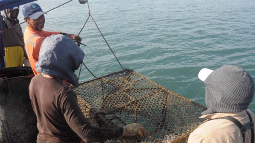 Aunap logra formalizar a 19.600 pescadores artesanales y 1.600 acuicultores