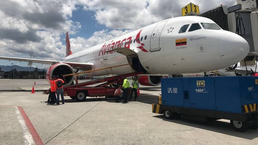 Avianca cambia políticas para transporte de mascotas