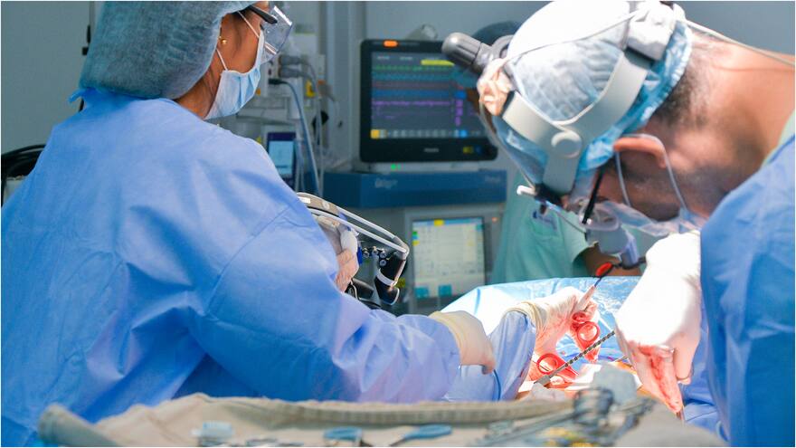 Las dificultades para acceder a un cupo en una especialización médico-quirúrgicas