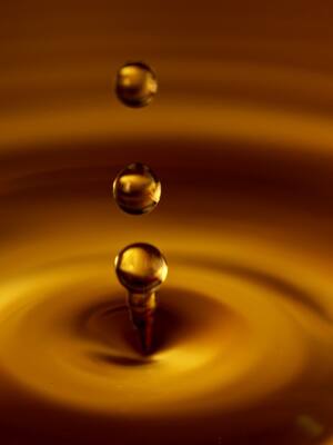 Ni gota, empeloto, macacoa