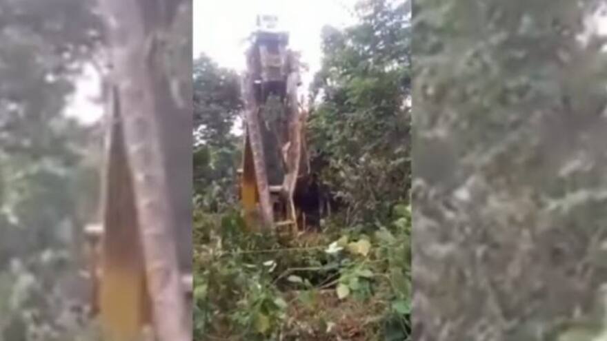 Levantan con una grúa a una serpiente de más de 4 metros de largo