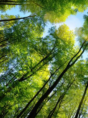 El Día del Planeta | Columna de Rafael De Fex