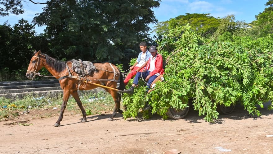 Cien ‘carros de mula’ serán sustituidos en Valledupar por motocarros eléctricos