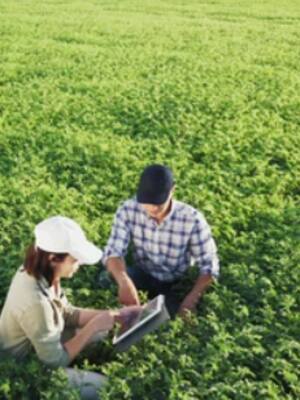 El “Mico” del agro| Columna de Indalecio Dangond