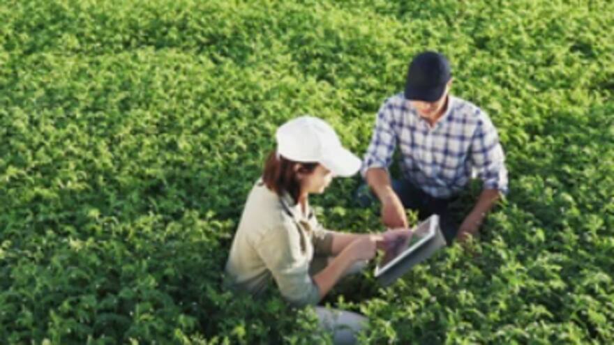 El “Mico” del agro| Columna de Indalecio Dangond