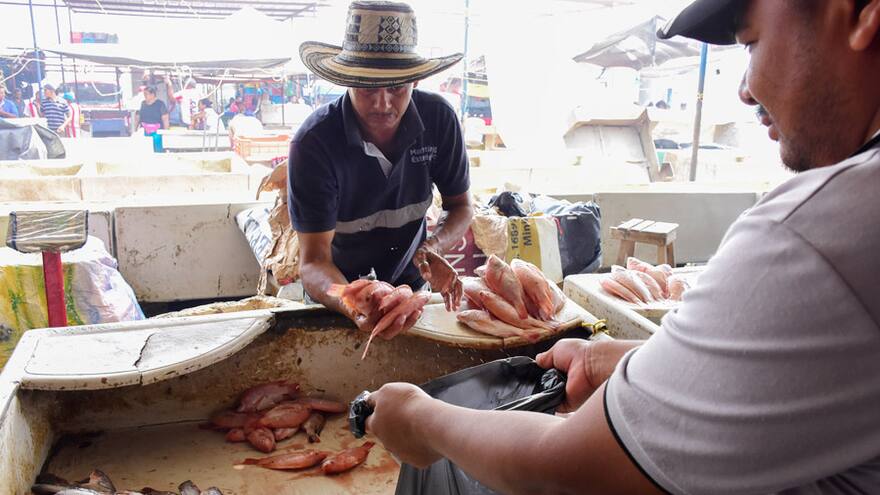 Aumentan controles a venta de pescado en Barranquilla