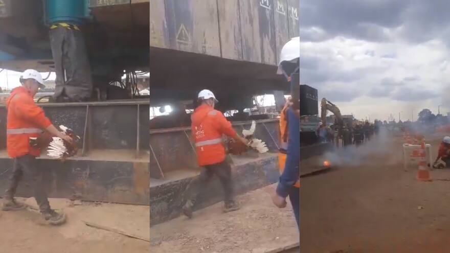 Maltrato animal: denuncian presuntos sacrificios de animales en medio de ritos en obras del Metro de Bogotá