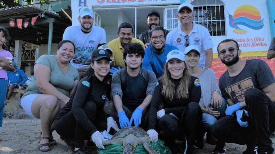 En Santa Marta descubren cura a letal virus en tortugas marinas