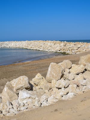 Los espolones y el sentido común