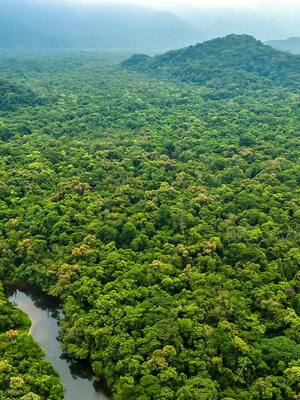Deuda por conservación | Columna de Simón Gaviria