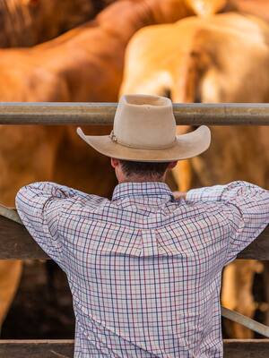 Insisto… ¡No nos dejen solos otra vez! | José Félix Lafaurie Rivera