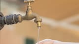 Crisis del agua en Cartagena se agrava por microalgas y obliga a nuevos racionamientos