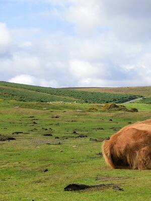 No se soluciona un problema creando otro | Columna de José Félix Lafaurie