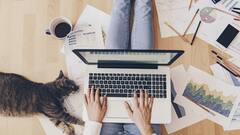 Las empresas están llamadas a apostar por el talento local | Columna de Raju Vegesna