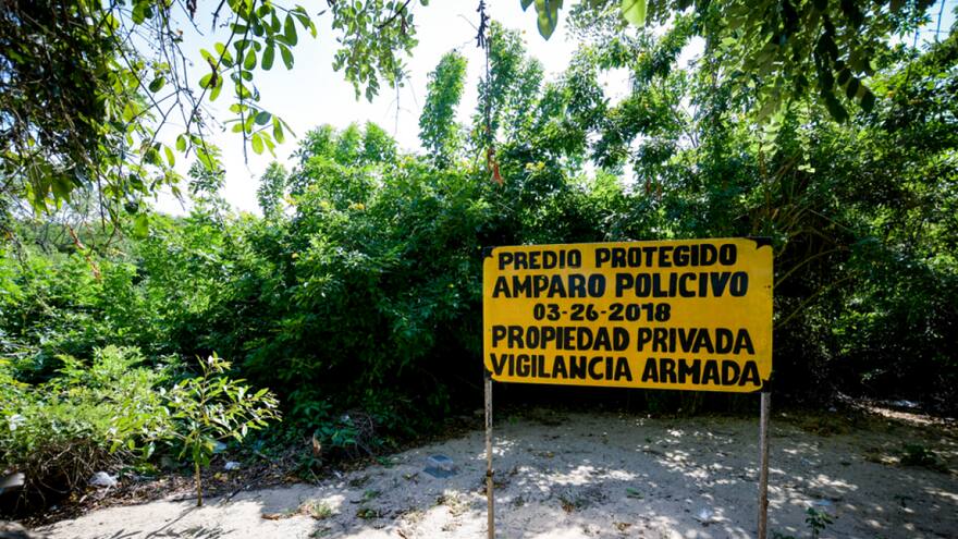 Ocupación ilegal de predio se ha extendido a 18 departamentos: Fedegán