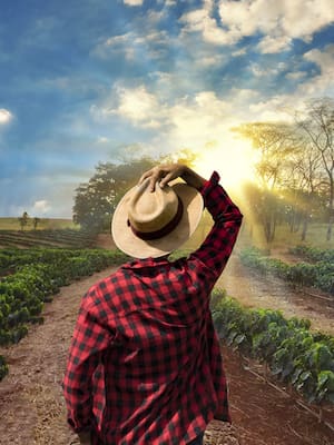 A los precandidatos presidenciales| Columna de Indalecio Dangond