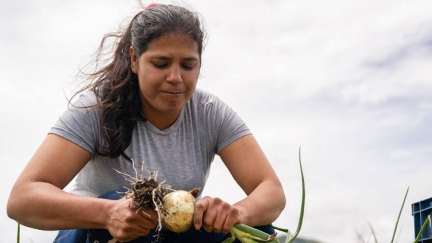 Plataforma digital soluciona la intermediación en el agro