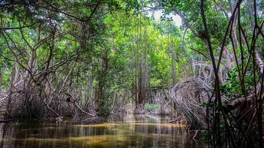 Atlántico, entre los departamentos con mayor vulnerabilidad climática