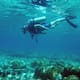 Buceo: una aventura para descubrir otro ‘planeta’ bajo el agua