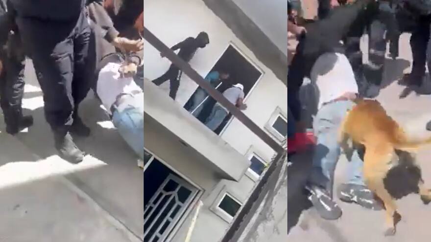 México: Hasta un perro se sumó a la golpiza que le dieron a un supuesto ladrón en Tecámac