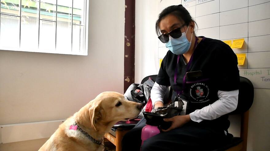 El día a día de una practicante invidente junto a su perro guía