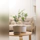 Macetas, un objeto decorativo que lleva la naturaleza al hogar